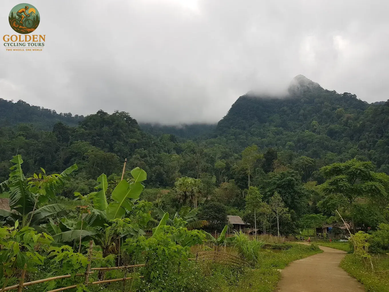 12-Day North Vietnam Cycling Adventure: Off the Beaten Path from Hanoi to Ninh Binh